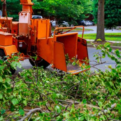 STUMP GRINDING